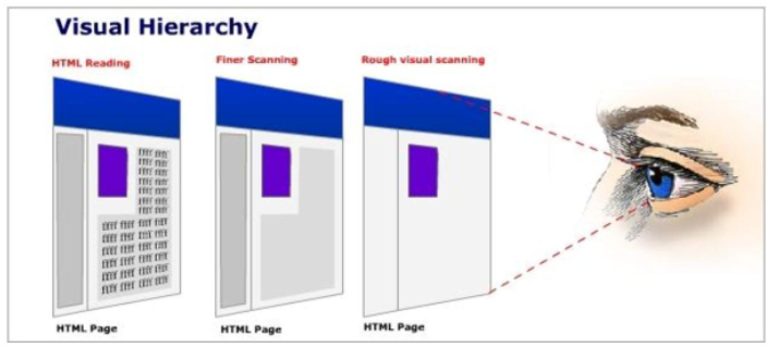 Визуальная иерархия управляет вниманием человека.